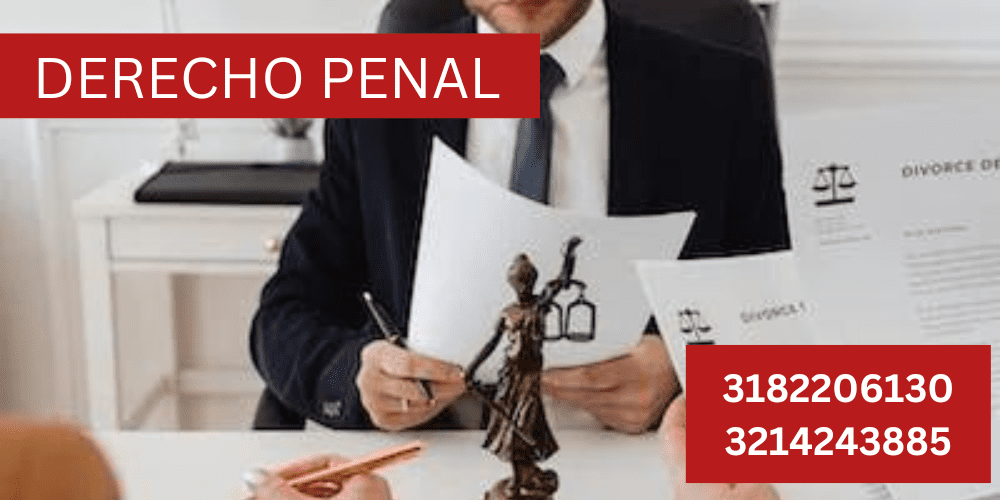 Derecho Penalista